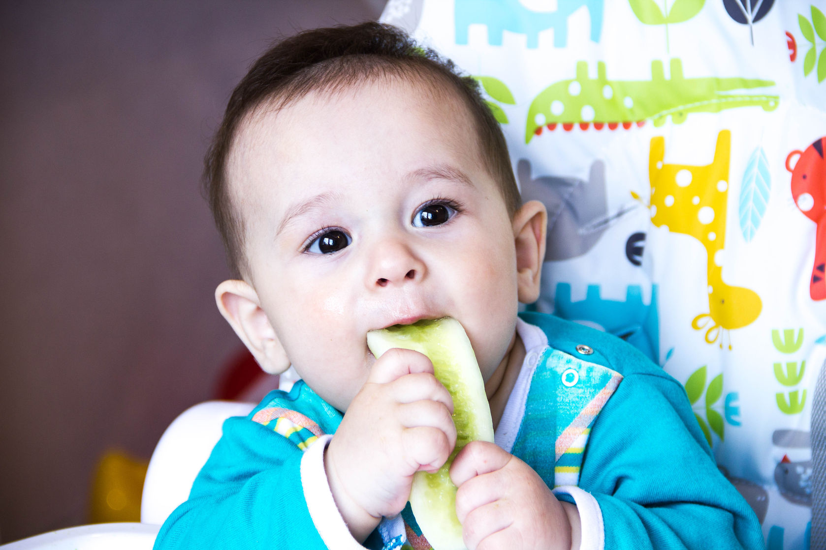 bebé comiendo el sólo un calabacín