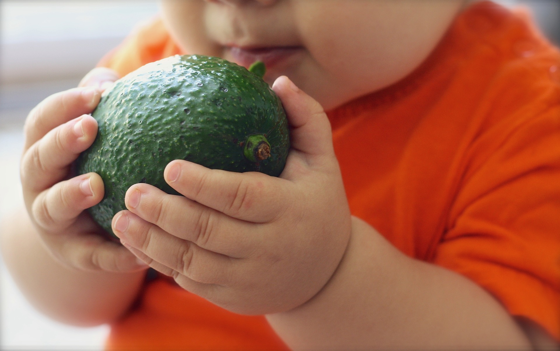 Alimentos permitidos para bebés de 6 a 12 meses • Cuidados y Caricias