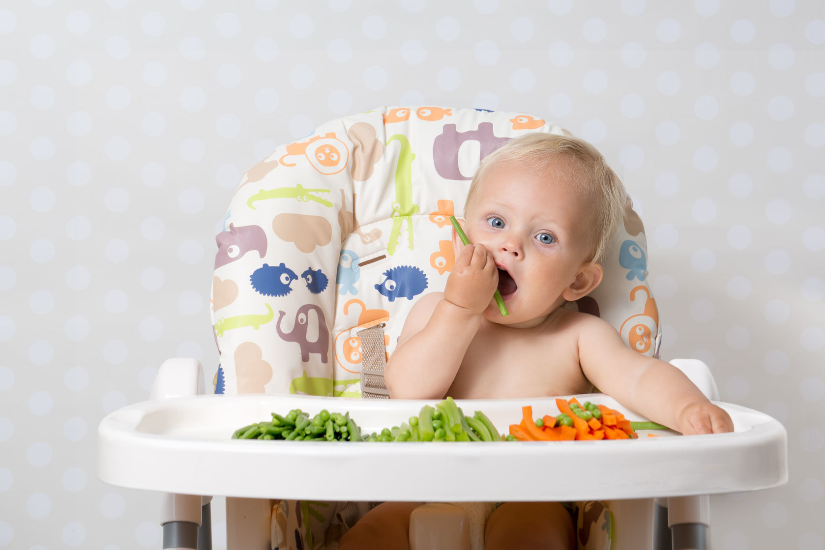 baby-led weaning aranda