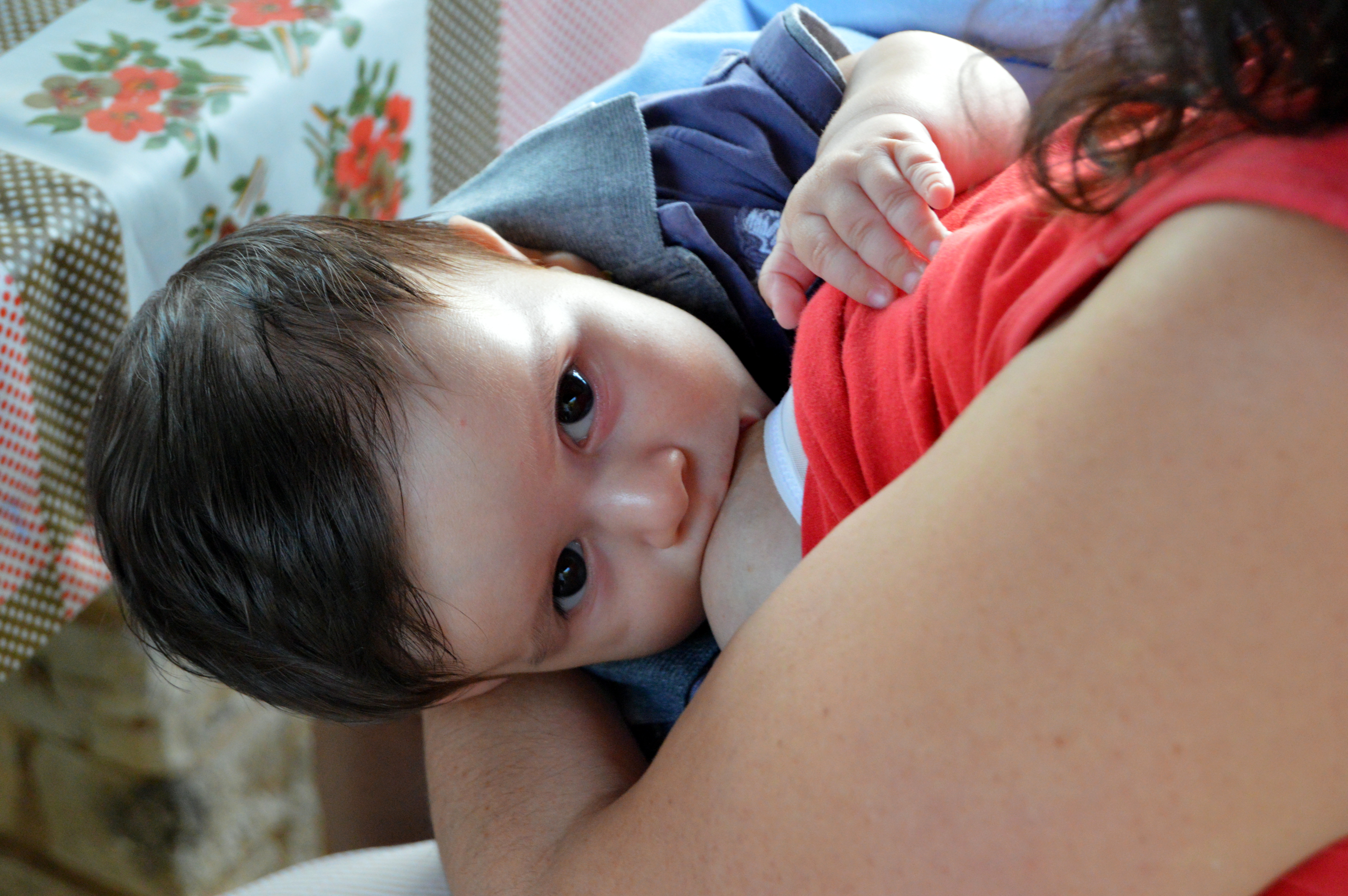 claves lactancia materna