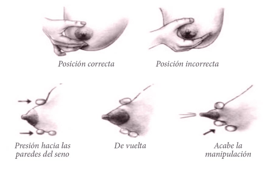 extracción manual de leche materna